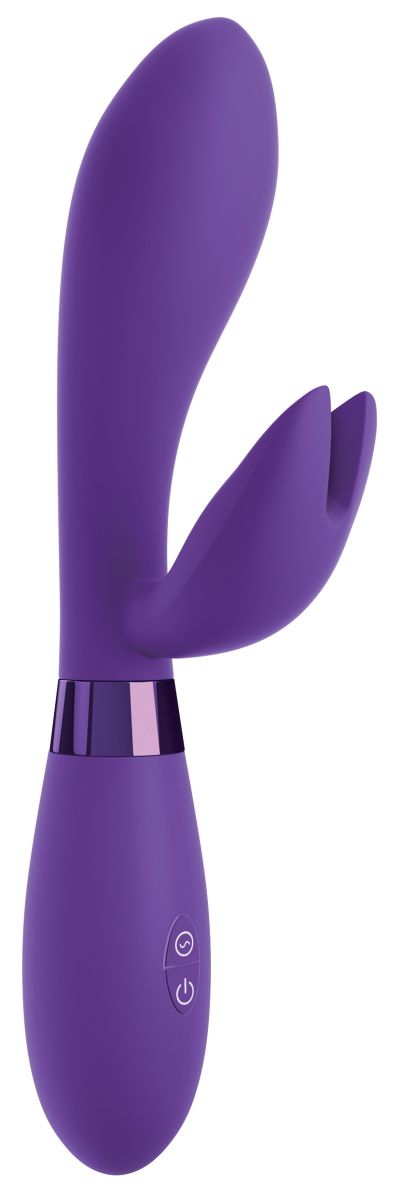 Купить Фиолетовый вибратор-кролик #bestever Silicone Vibrator - 21,2 см. в Москве.