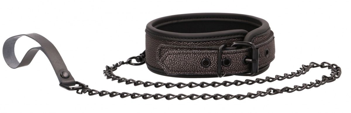 Купить Серый широкий ошейник с поводком Elegant Collar with Leash в Москве.