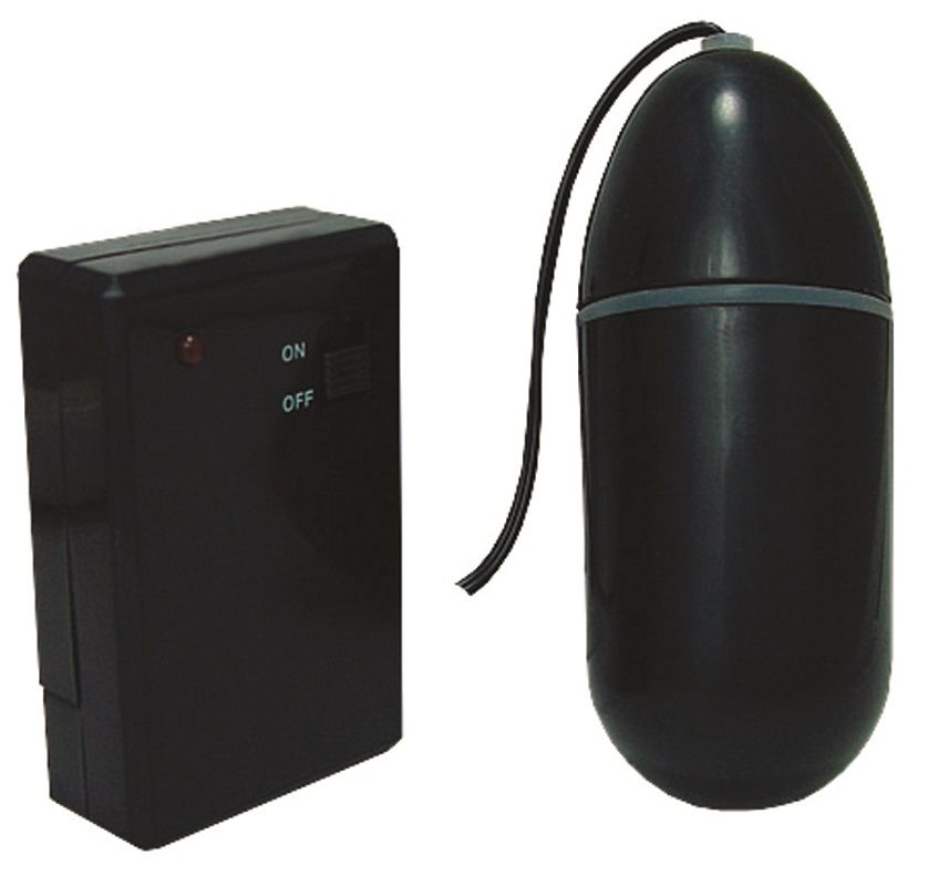 Купить Чёрное виброяйцо Waterproof Remote Control Bullet с пультом ДУ в Москве.