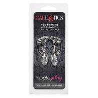 Купить Подвески на соски с прозрачными капельками Non-Piercing Nipple Jewelry Crystal Teardrop в Москве.