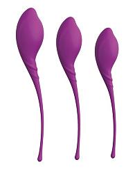 Купить Набор из 3 фиолетовых вагинальных шариков PLEASURE BALLS   EGGS KEGEL EXERCISE SET в Москве.